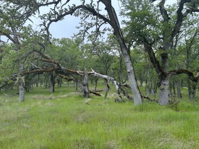 0 Lambert Flats Road Carmel Valley, CA 93924 - Photo 3 of 8
