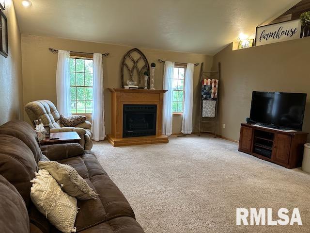 891 Township Road Stronghurst, IL 61480 - Photo 13 of 35 Gallery Image 13