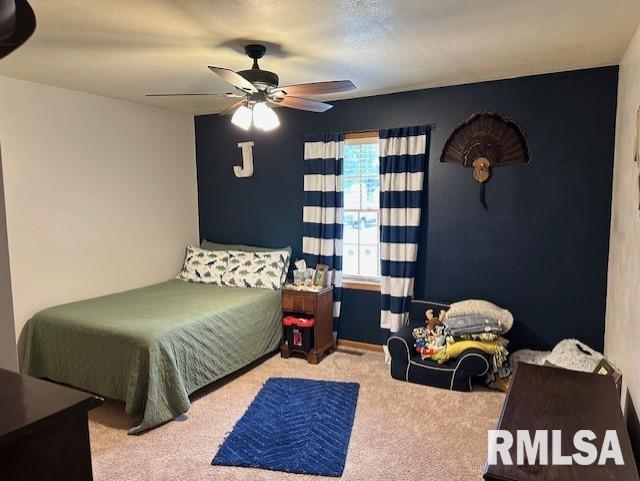 891 Township Road Stronghurst, IL 61480 - Photo 18 of 35 Gallery Image 18
