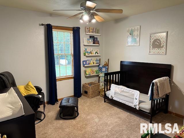 891 Township Road Stronghurst, IL 61480 - Photo 22 of 35 Gallery Image 22
