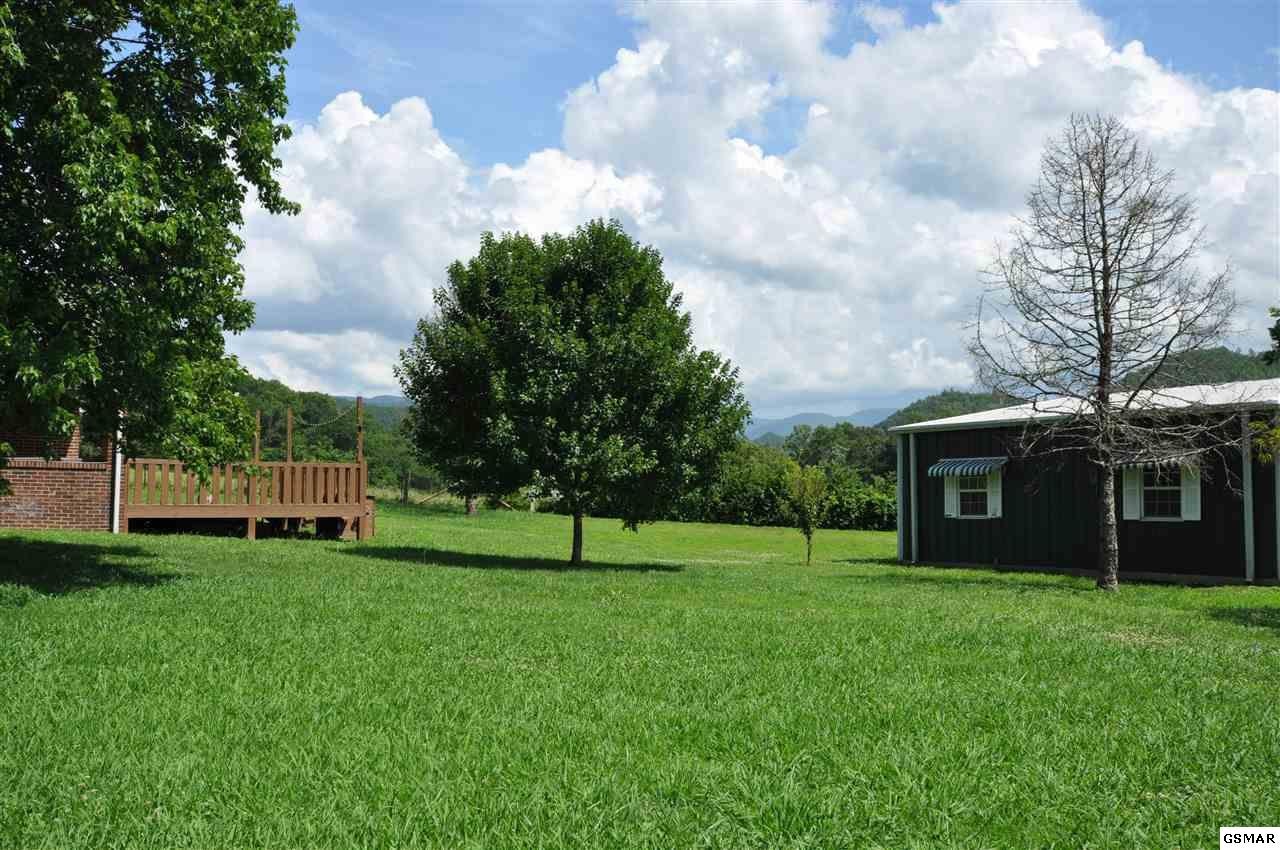 318 Wears Valley Road Townsend, TN 37882 - Photo 6 of 33 Gallery Image 6