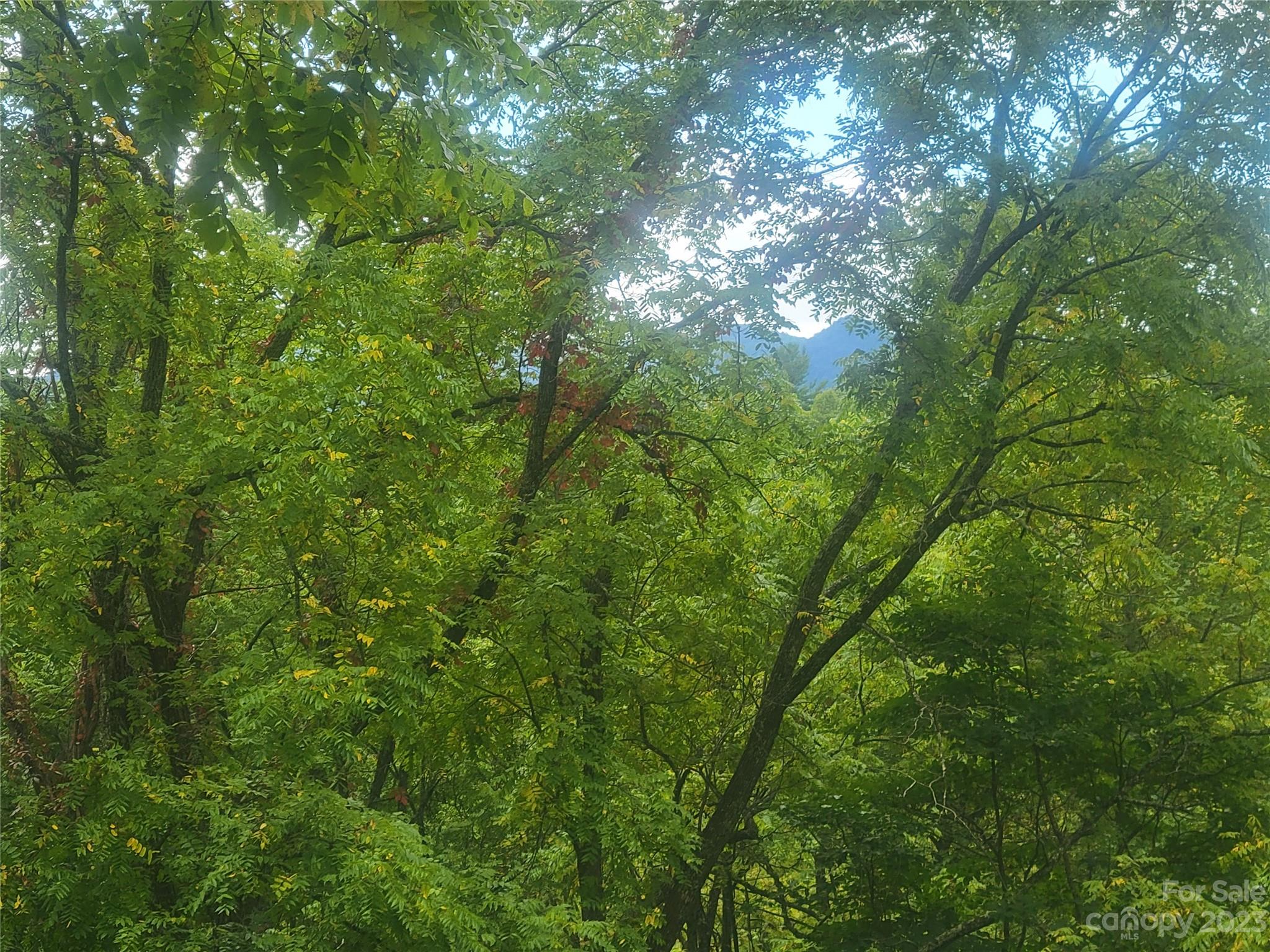 932 Parson Branch Road Green Mountain, NC 28740 - Photo 25 of 29 Gallery Image 25