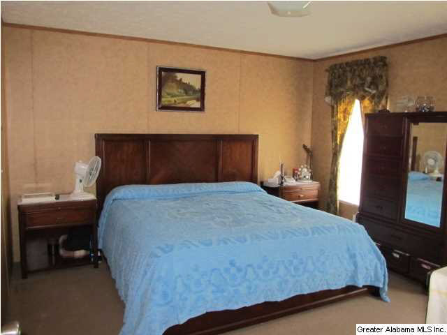 155 Stage Road Lincoln, AL 35096 - Photo 4 of 12
