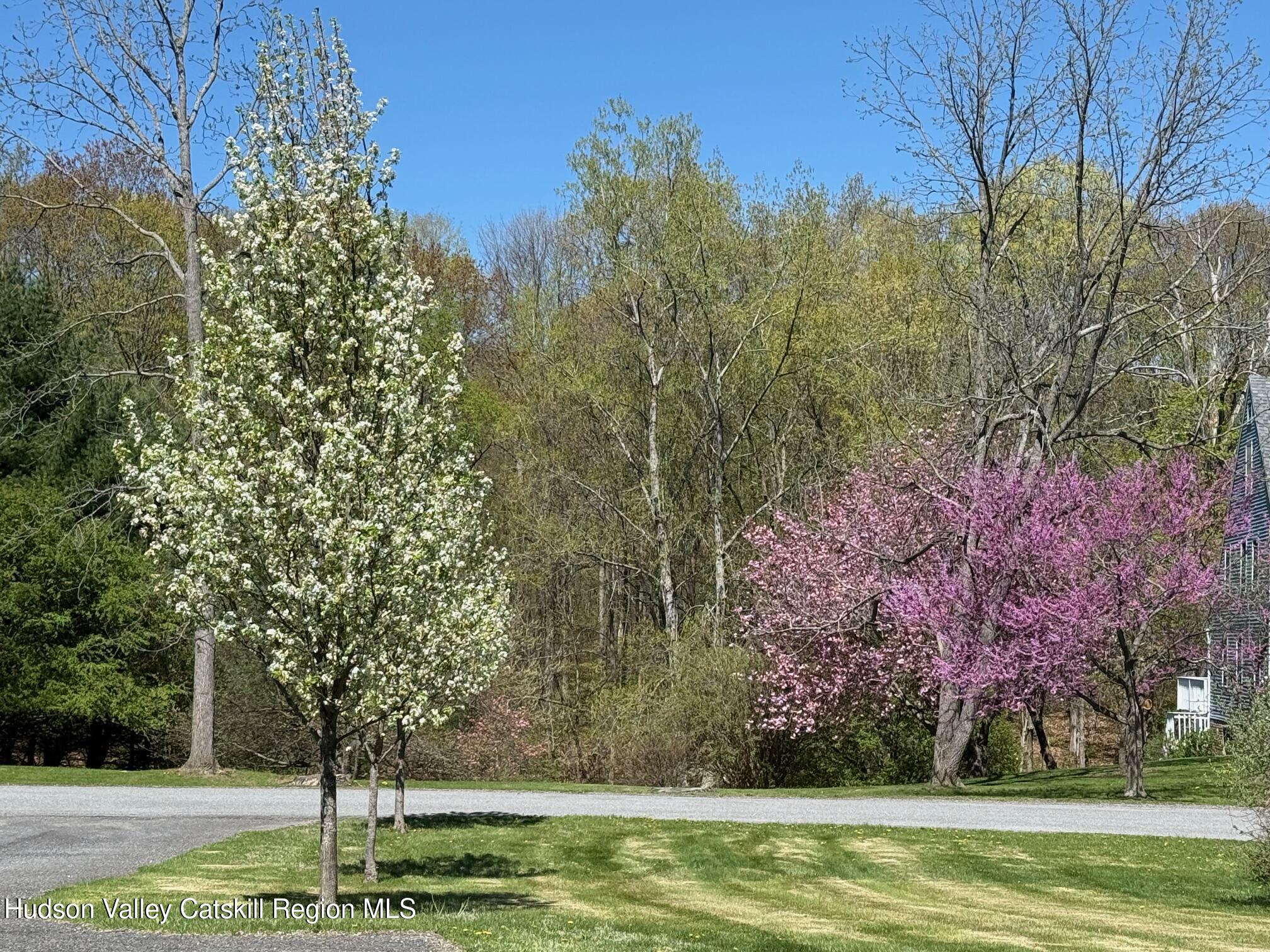 24 Mountain View Road Amenia, NY 12501 - Photo 3 of 13 a view of a park with large trees