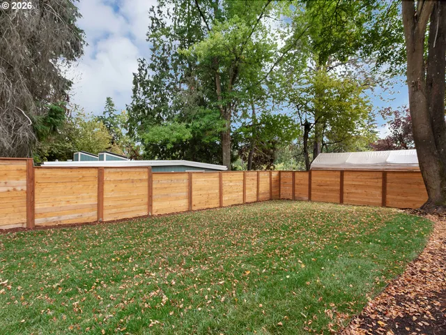 a view of a backyard