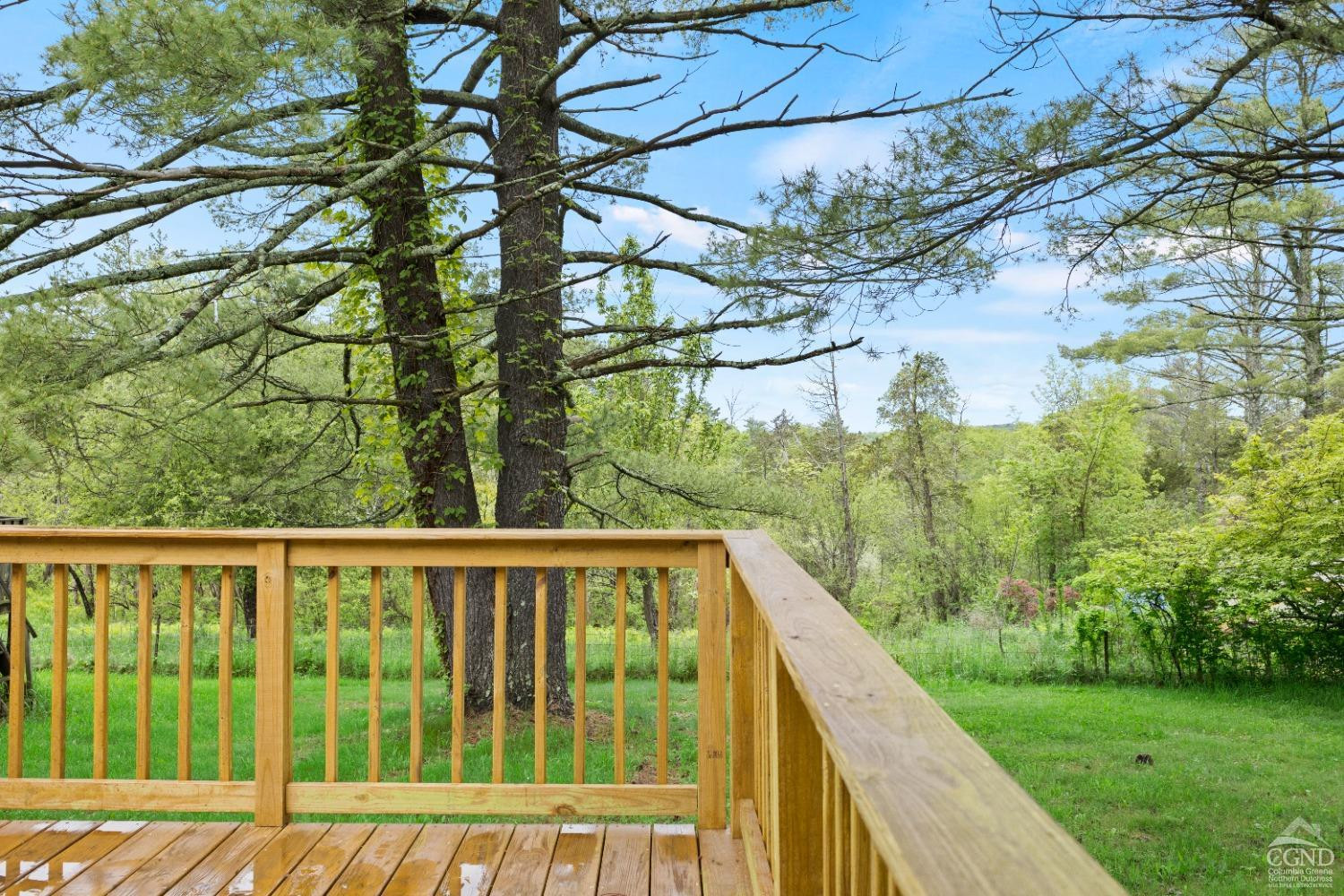 843 Indian Ridge Road Cairo, NY 12058 - Photo 29 of 33 a view of a wooden deck and a forest