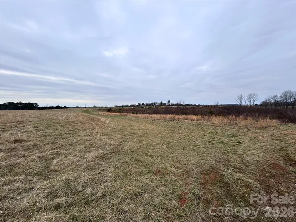 a view of a lake with a city