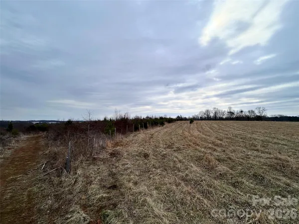 a view of a lake from a yard