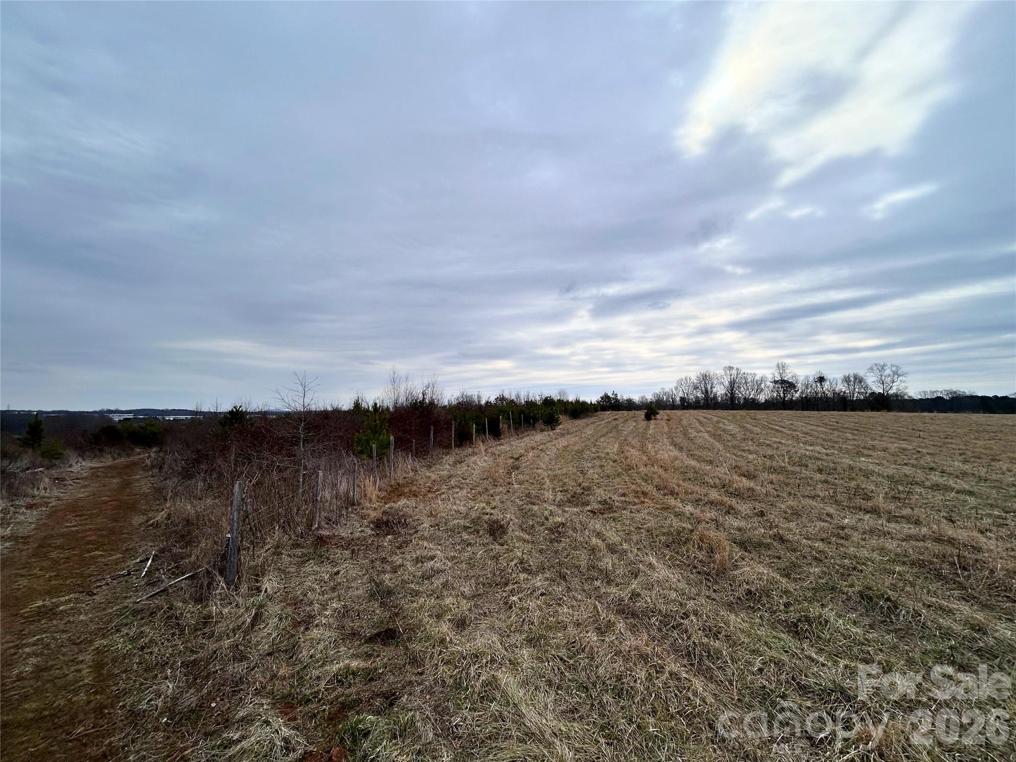 3078 Summerow Road Lincolnton, NC 28092 - Photo 8 of 10 a view of a lake from a yard