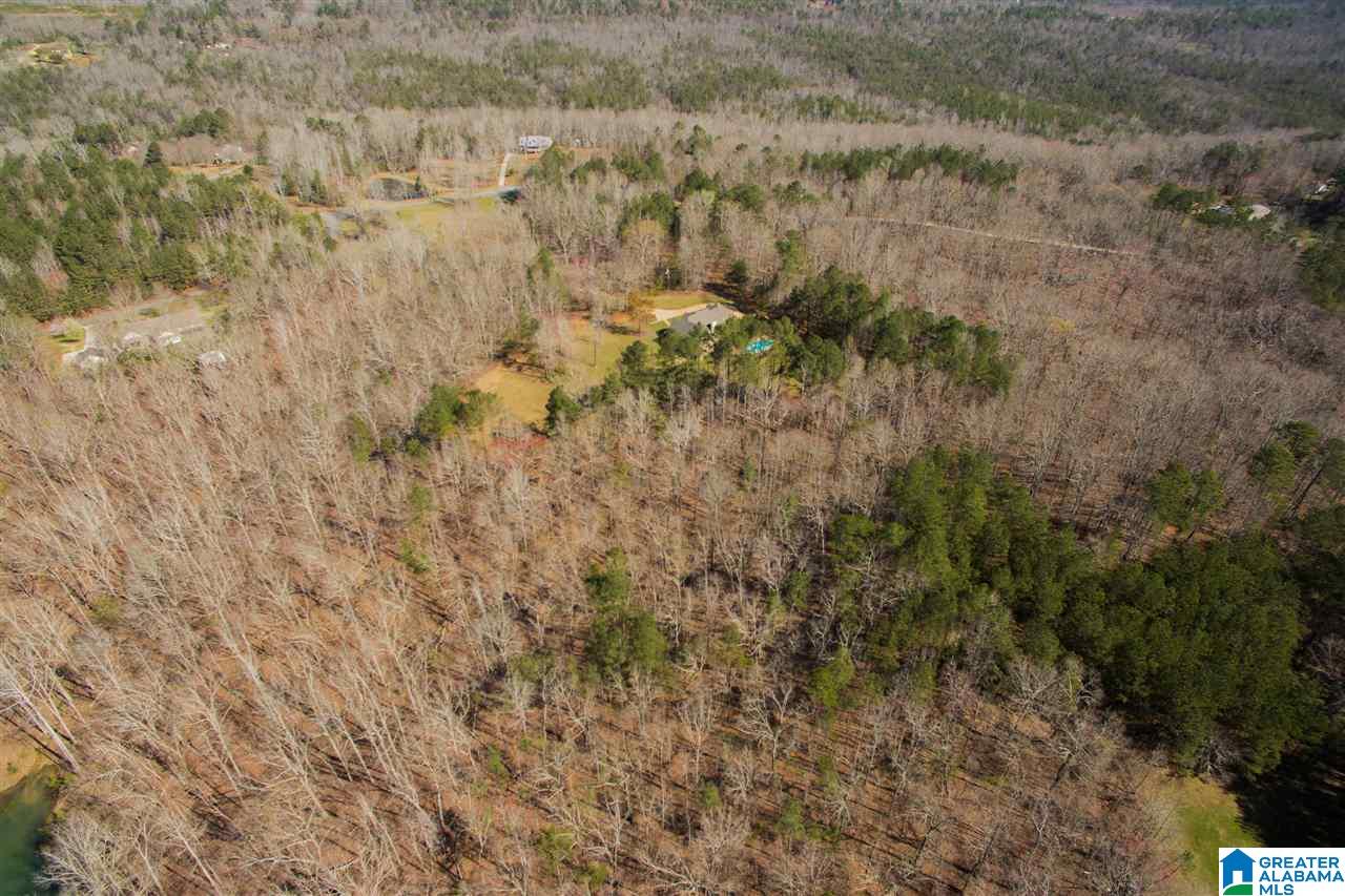1400 Mountain View Lane Springville, AL 35146 - Photo 39 of 44