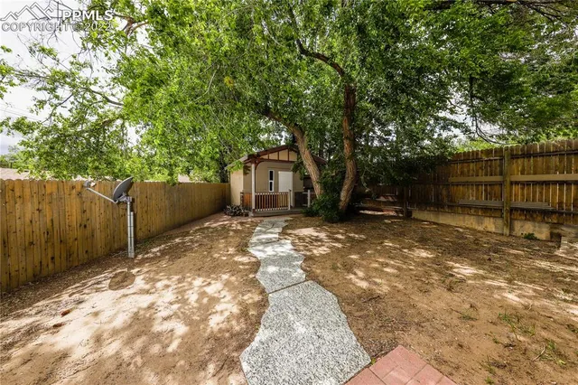 a view of a backyard with a tree