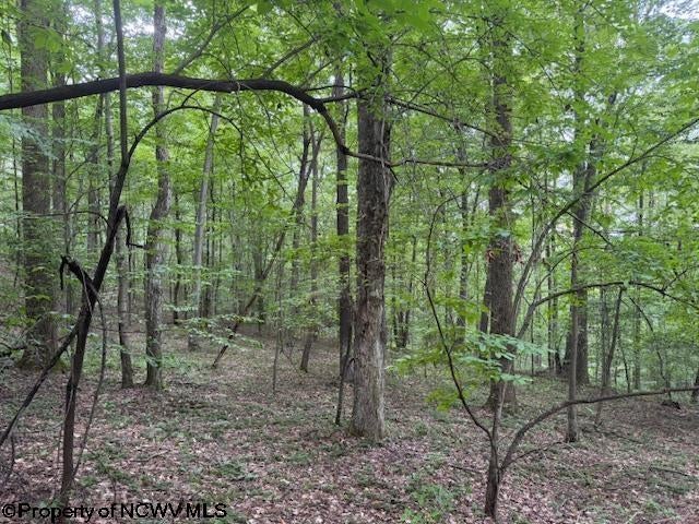 Tbd Simpson Road Belington, WV 26250 - Photo 8 of 30 Gallery Image 8