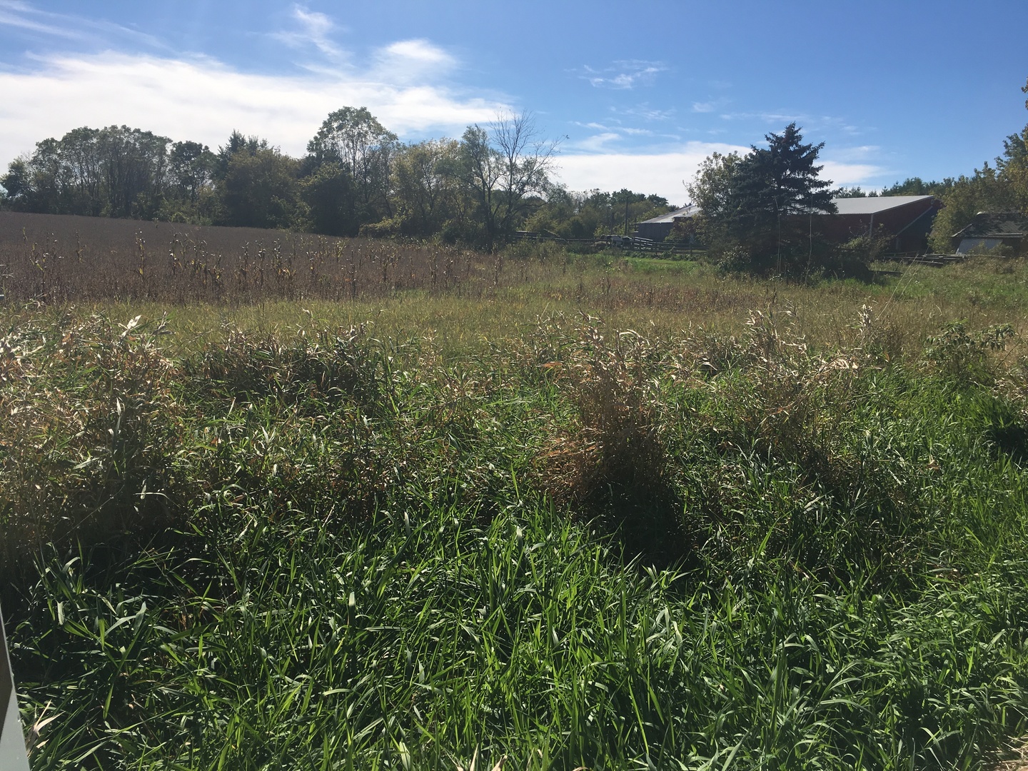 0 Lembcke Road Harvard, IL 60033 - Photo 7 of 9 a view of lake with green space