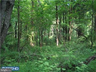 538 North Mill Road, Unit LOT#2 Kennett Square, PA 19348 - Photo 4 of 12 View 1