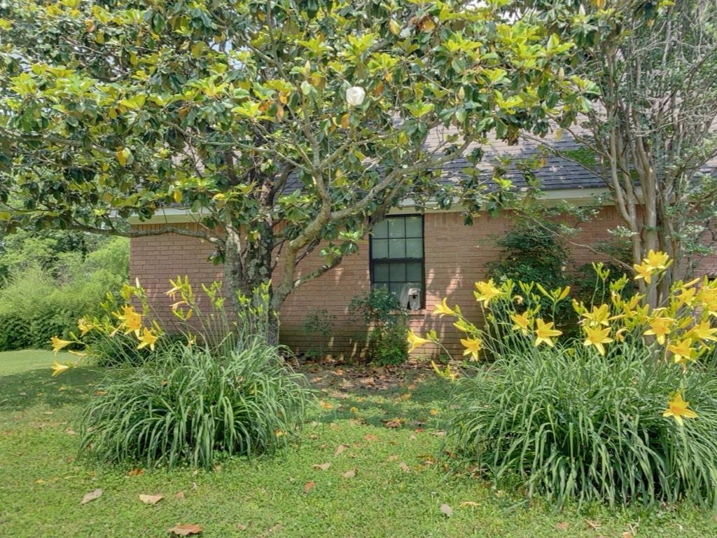 240 Sawmill Road Brighton, TN 38011 - Photo 12 of 25 View of green lawn