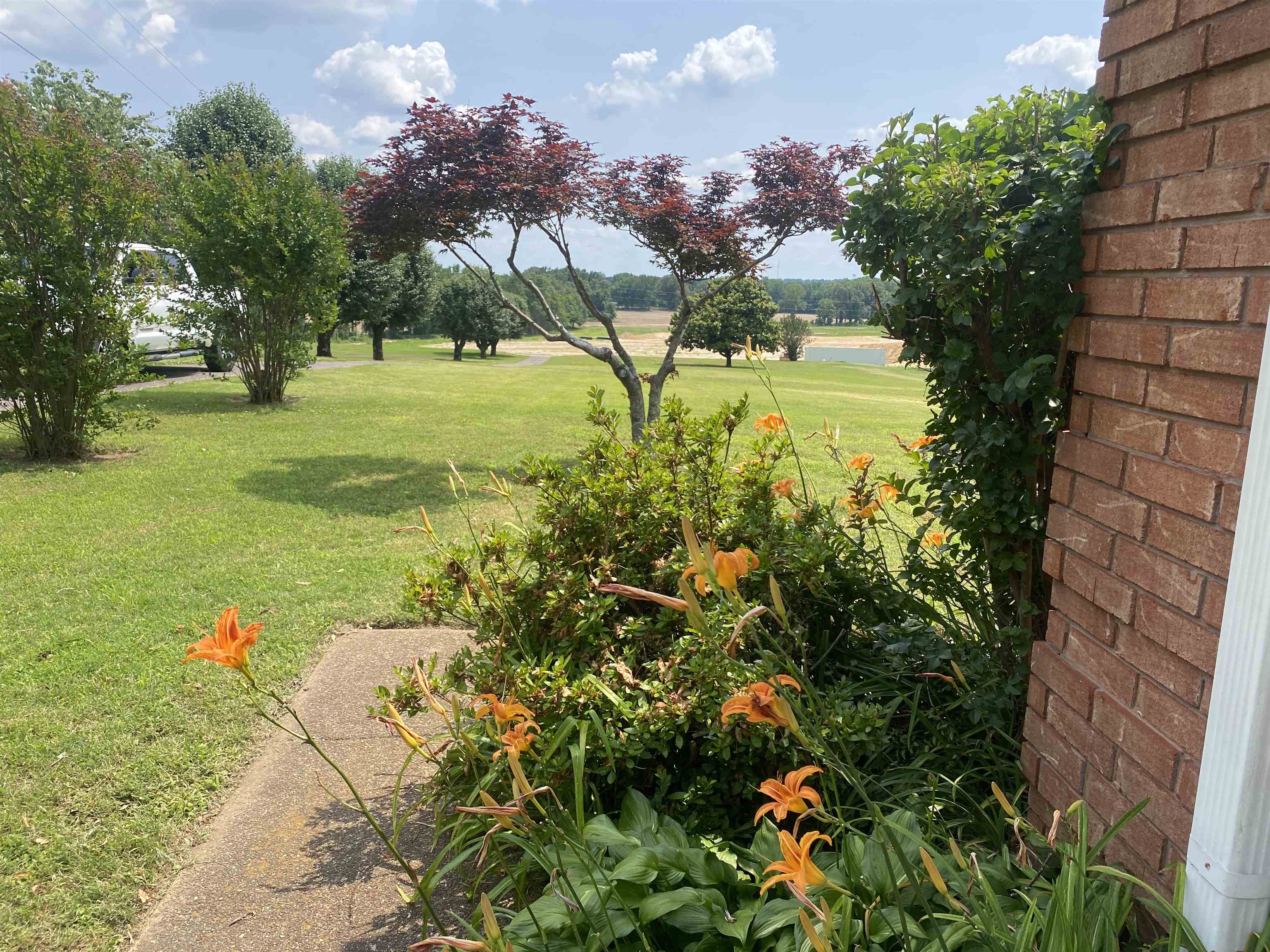 240 Sawmill Road Brighton, TN 38011 - Photo 6 of 25 View of green lawn