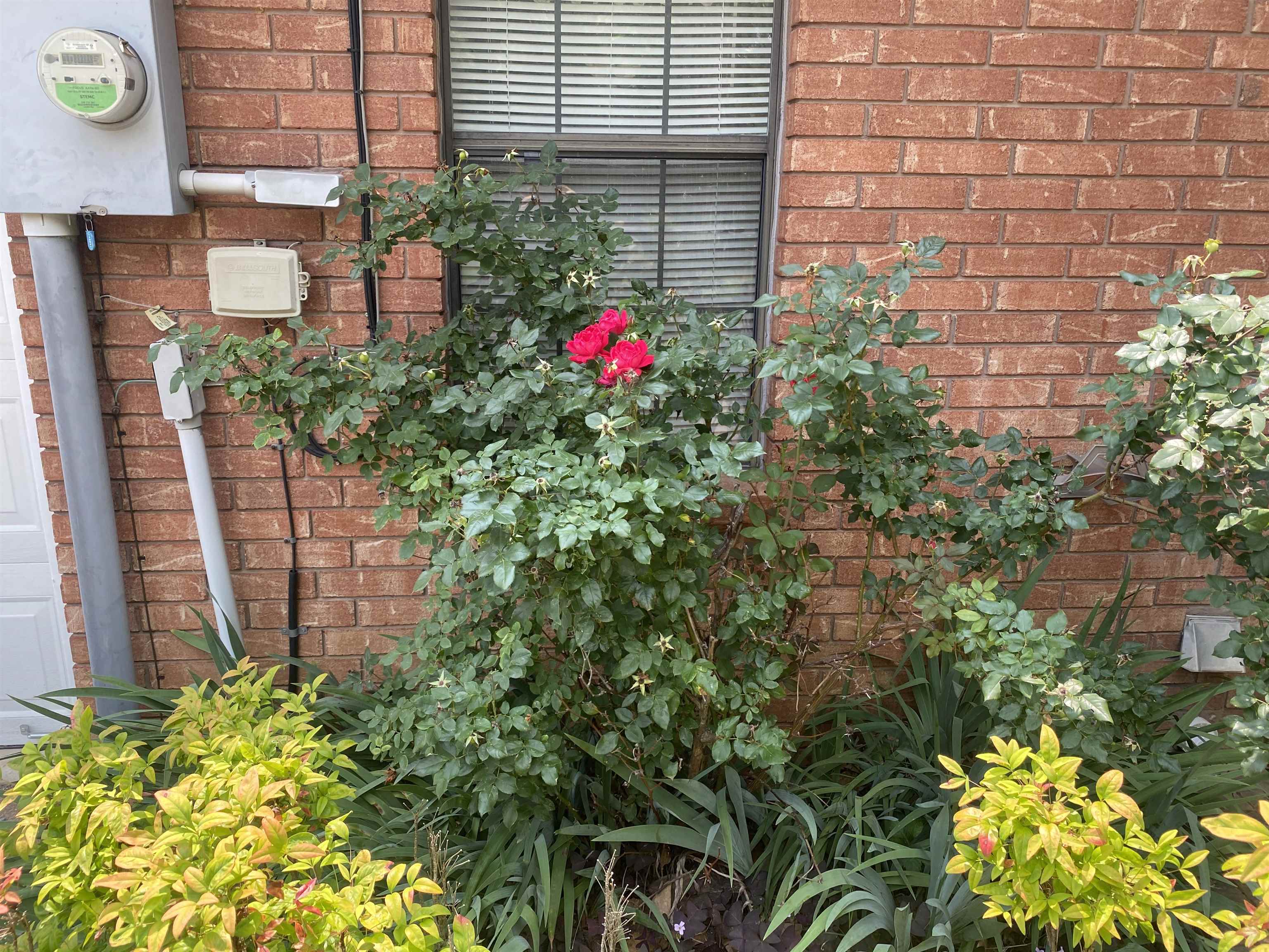 240 Sawmill Road Brighton, TN 38011 - Photo 7 of 25 Exterior view of electric meter and brick siding
