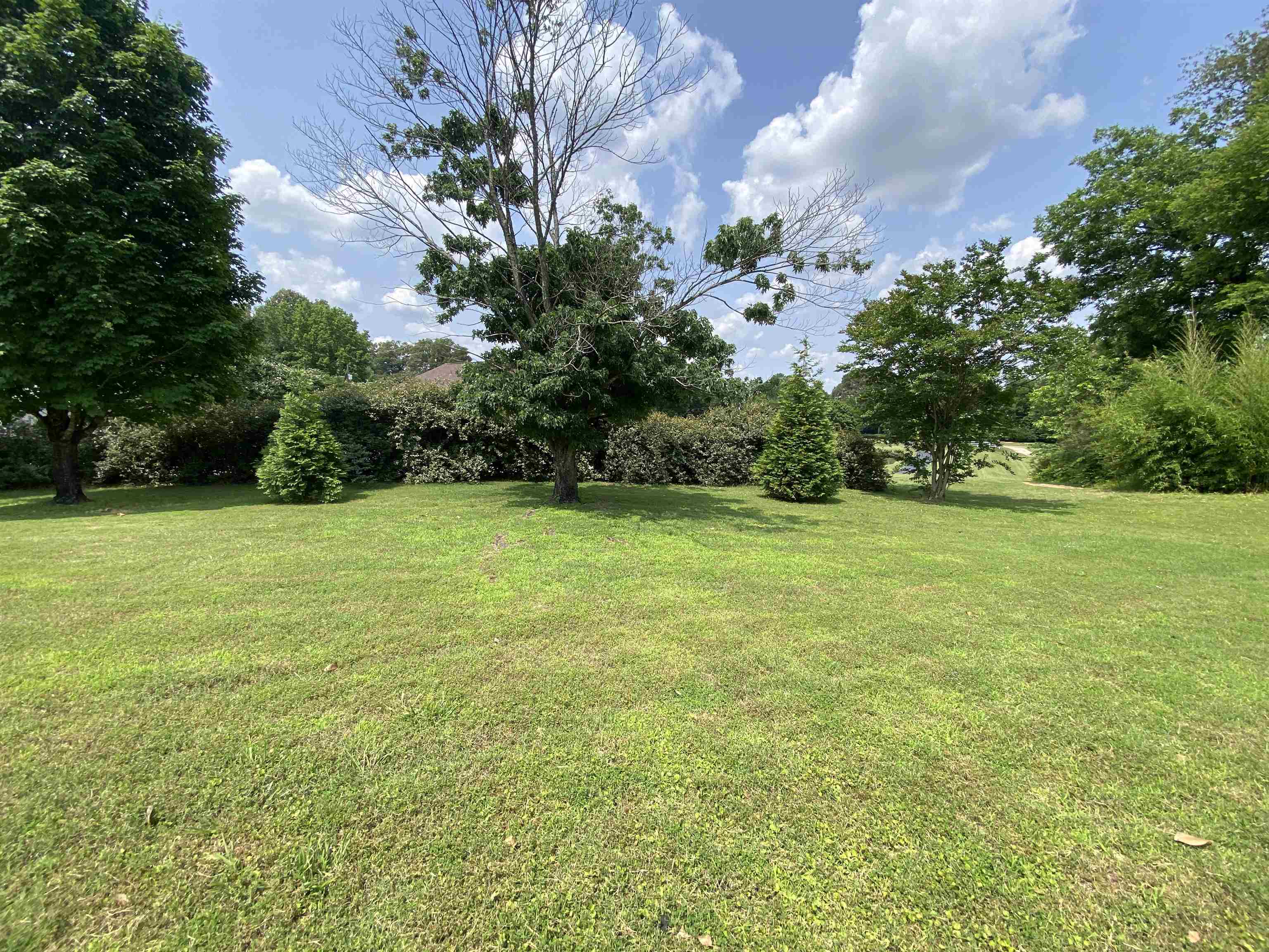 240 Sawmill Road Brighton, TN 38011 - Photo 10 of 25 View of grassy yard