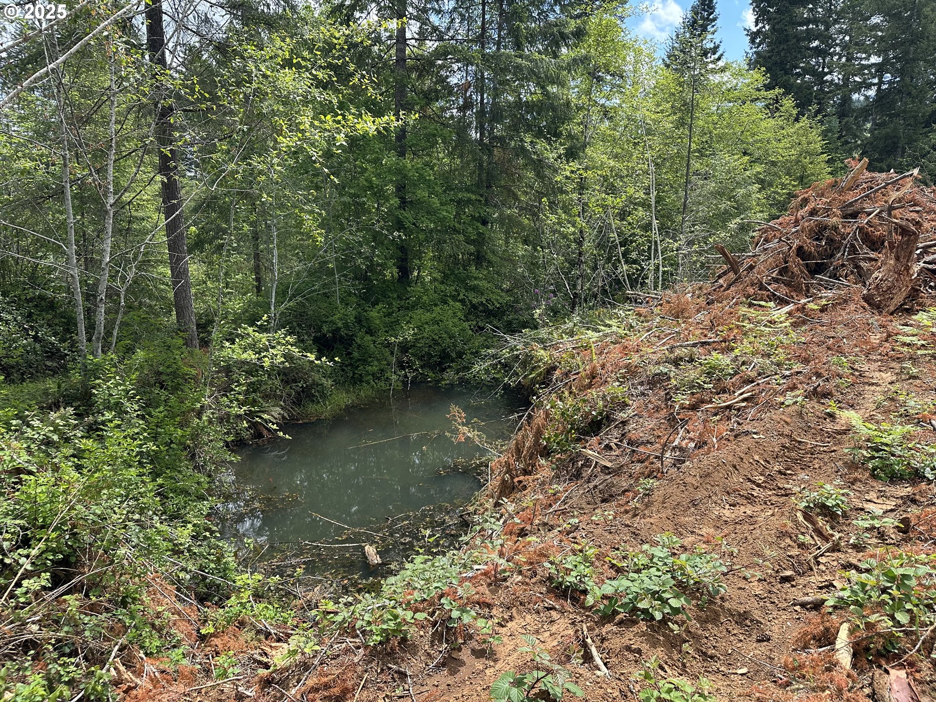 19403 Highway 126 Walton, OR 97490 - Photo 11 of 30