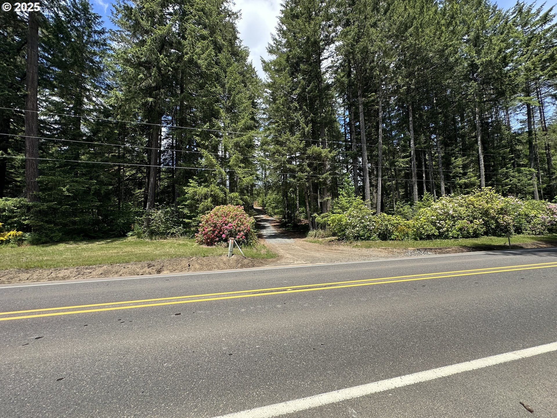 19403 Highway 126 Walton, OR 97490 - Photo 30 of 30