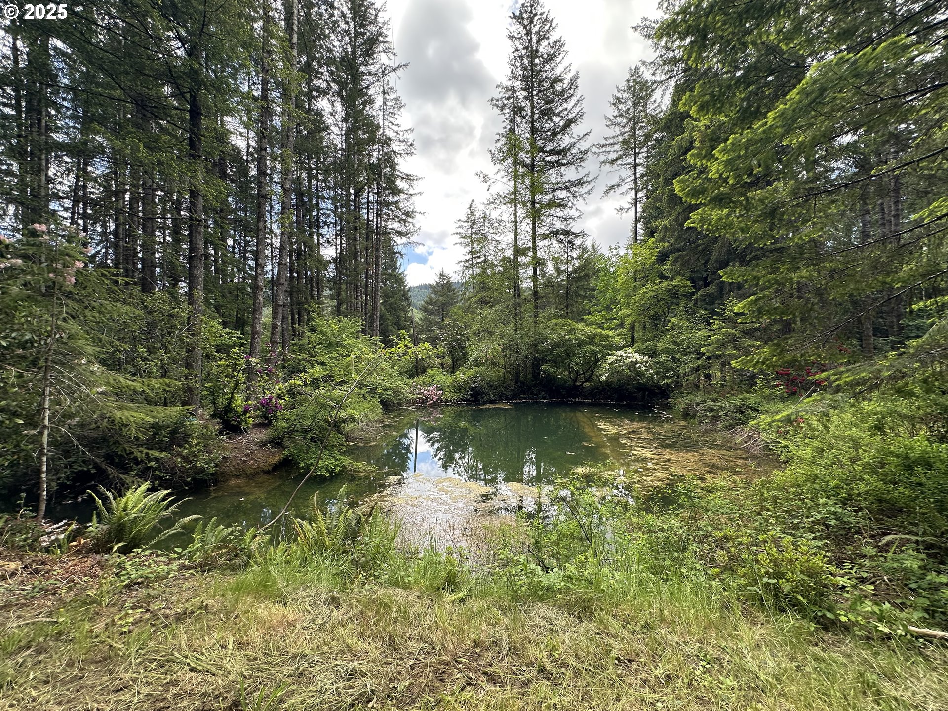 19403 Highway 126 Walton, OR 97490 - Photo 6 of 30