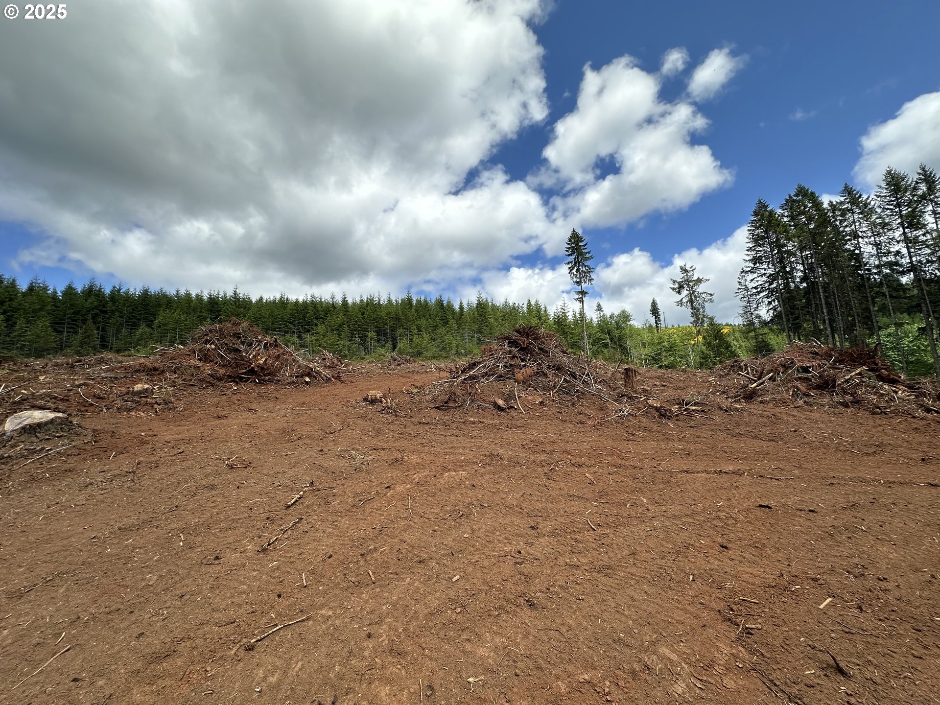 19403 Highway 126 Walton, OR 97490 - Photo 8 of 30