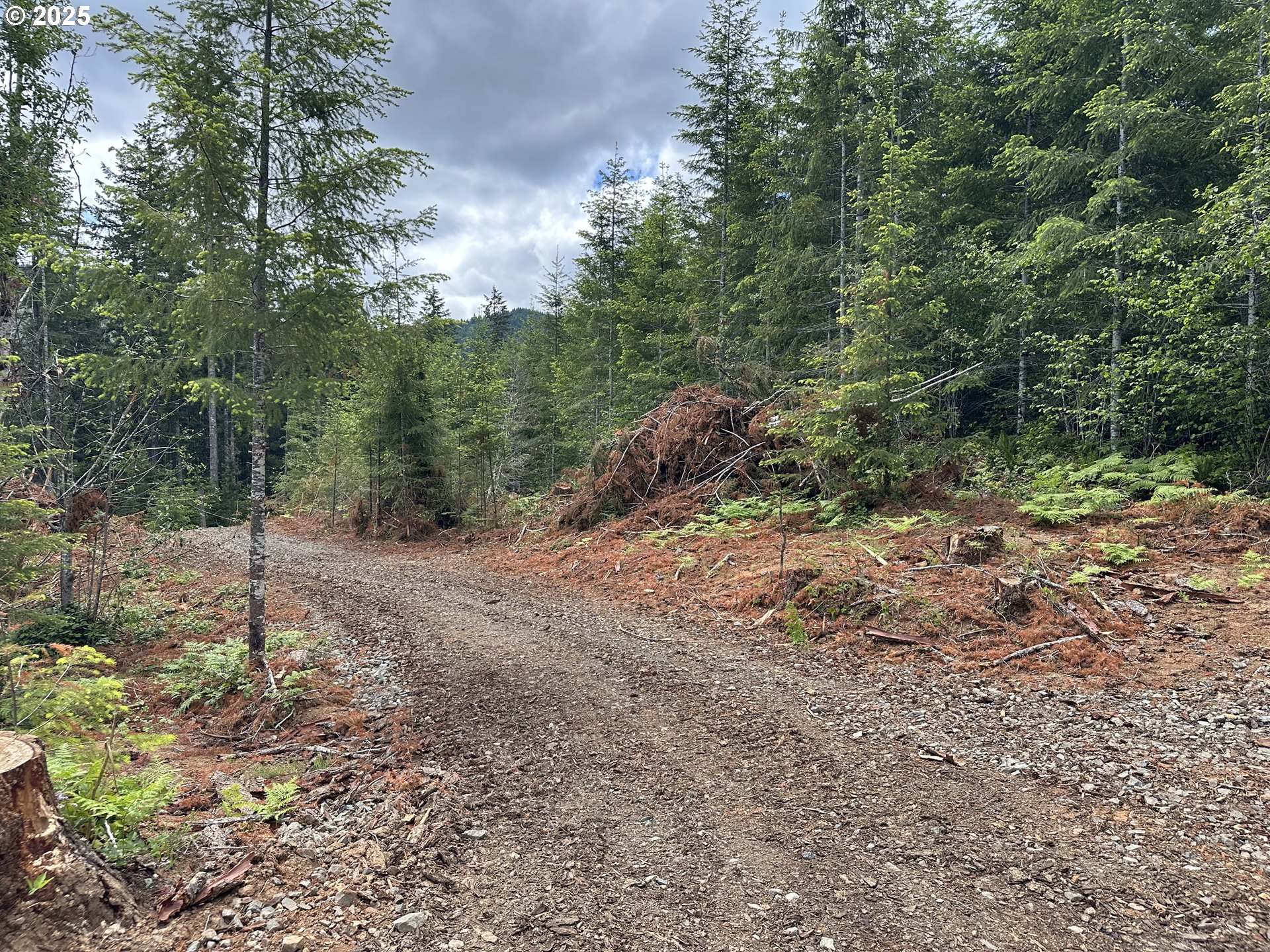 19403 Highway 126 Walton, OR 97490 - Photo 9 of 30