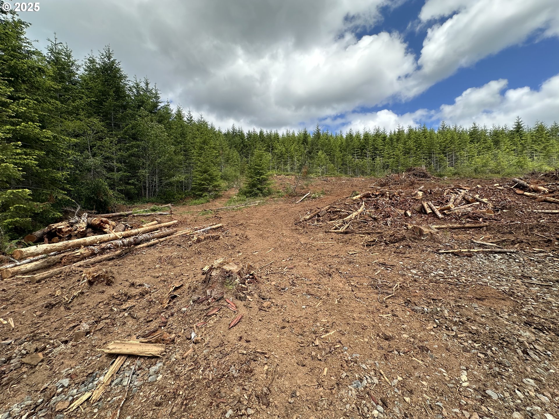 19403 Highway 126 Walton, OR 97490 - Photo 10 of 30