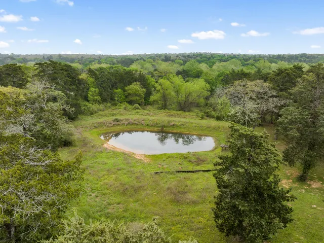 a view of a big yard with large trees