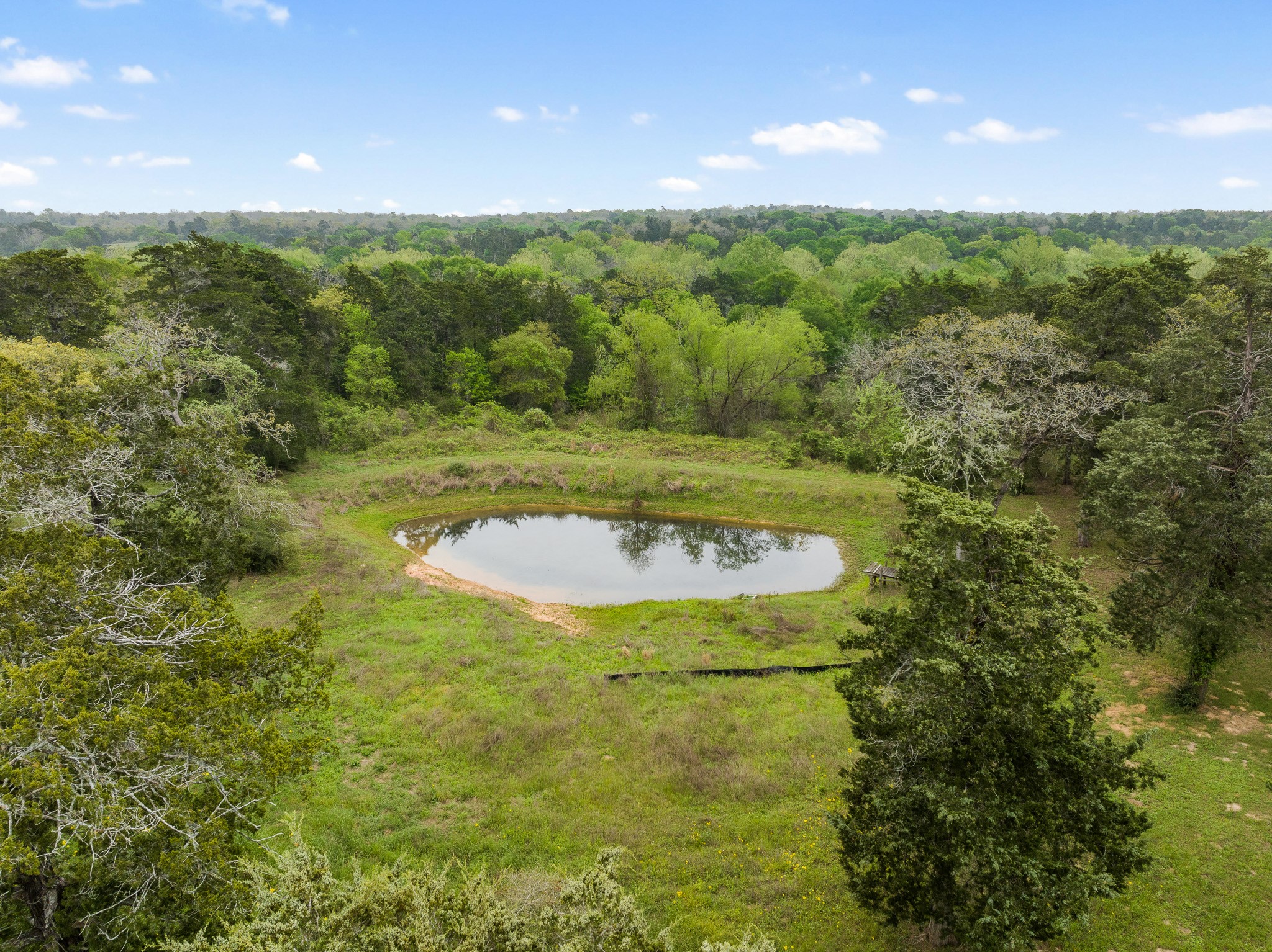 a view of a big yard with large trees