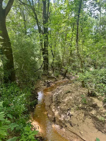 a view of a big house with a big yard and large trees