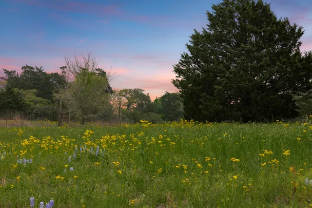 a view of outdoor space and yard