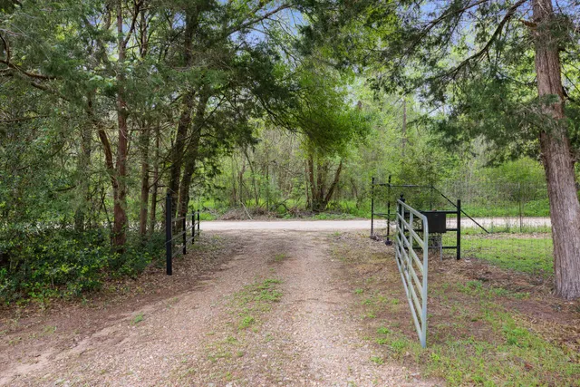 a view of an outdoor space