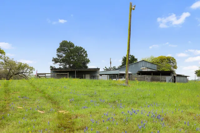 a view of lake with lots of trees