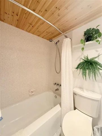 a bathroom with a toilet and a bathtub