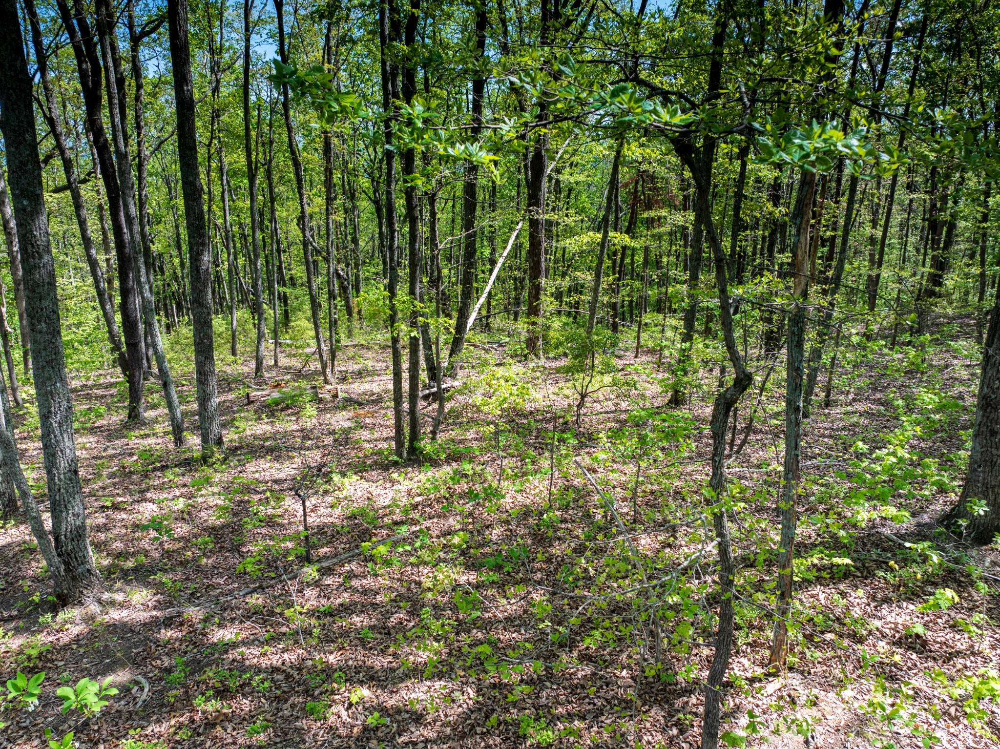 0 Sawyer Cemetery Road Signal Mountain, TN 37377 - Photo 38 of 38 Gallery Image 38
