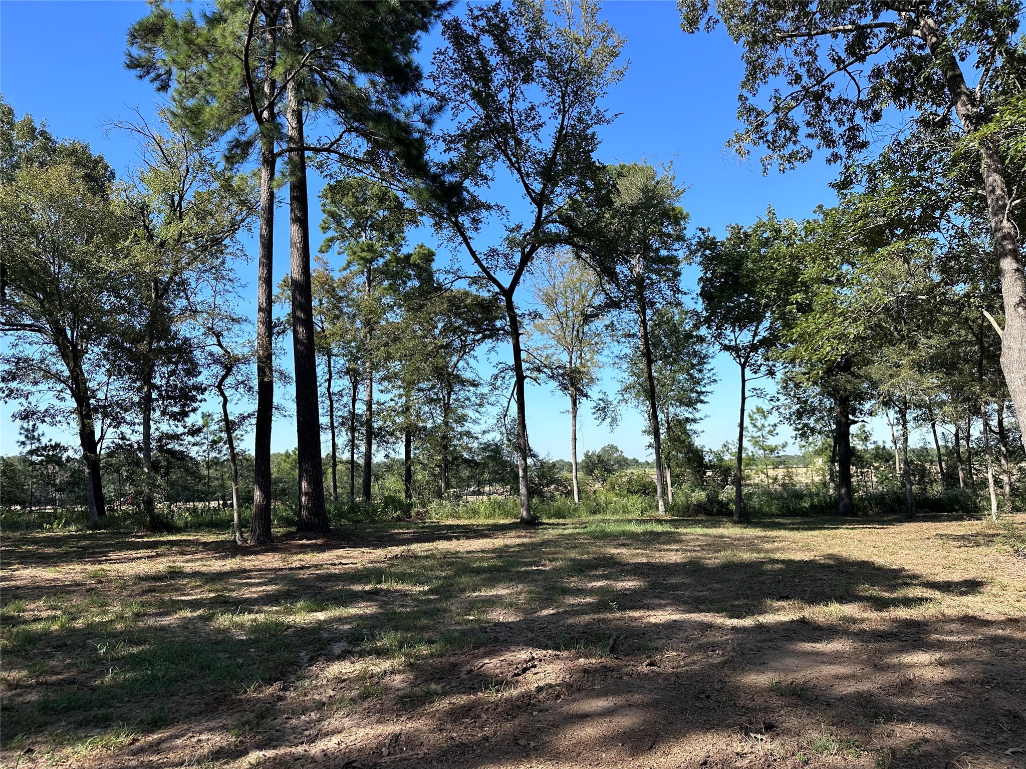 5.3-ac Tbd Spring Branch Road Montgomery, TX 77316 - Photo 26 of 32 Gallery Image 26