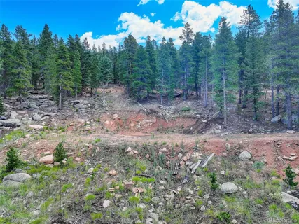 $190,000 | 11275 Bear Run Trail, Conifer, CO 80433