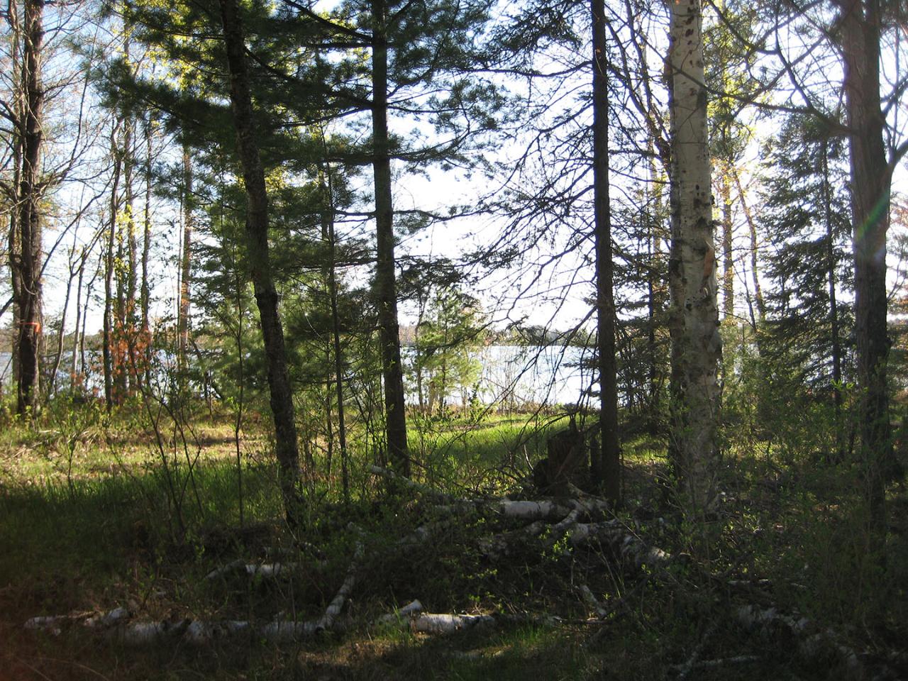 Lot #83 Old Camp Road Eagle River, WI 54521 - Photo 6 of 6 Gallery Image 6