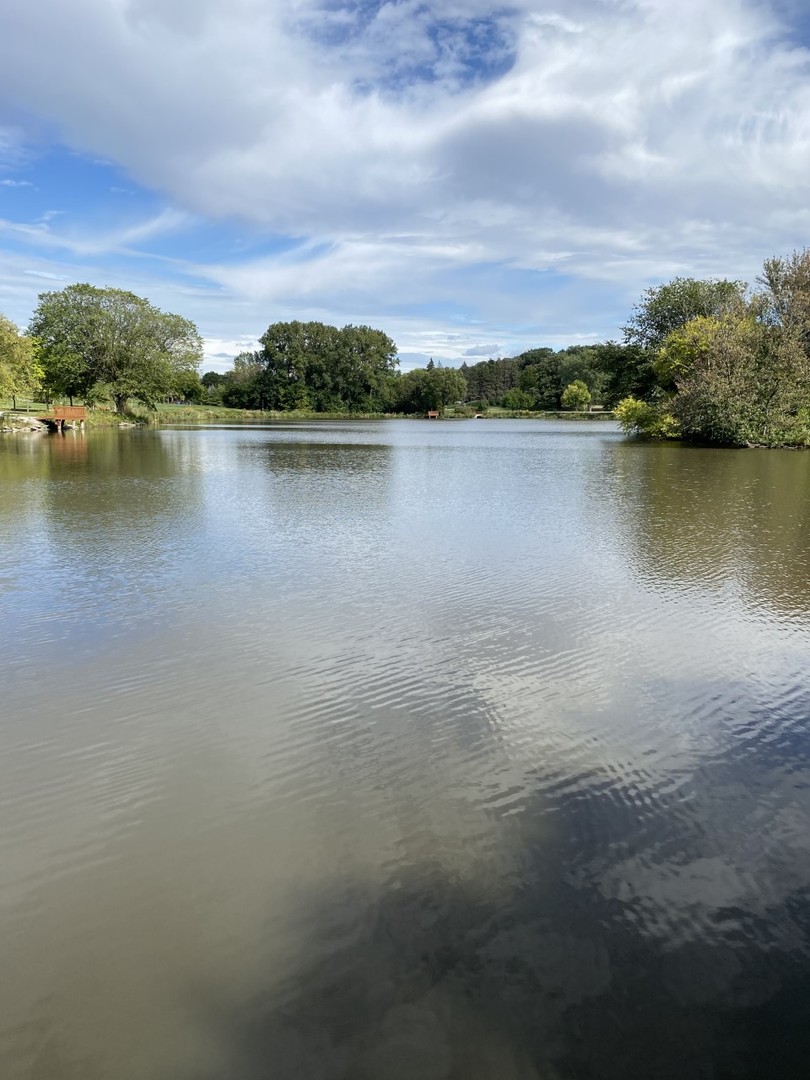242 Highland Road Willowbrook, IL 60527 - Photo 21 of 24 a view of a lake with houses in the back