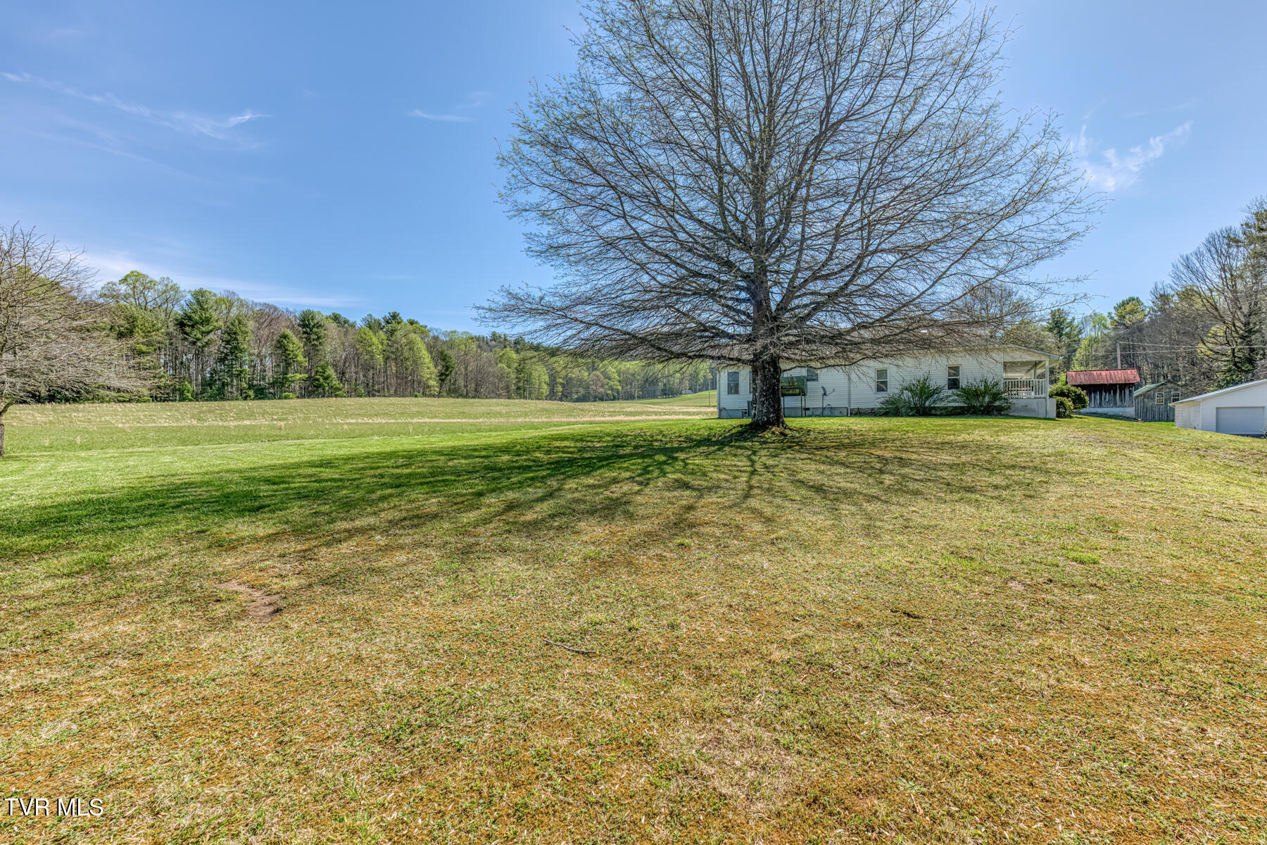 1650 Sluder Road Shady Valley, TN 37688 - Photo 43 of 76 1650 Sluder Rd-47