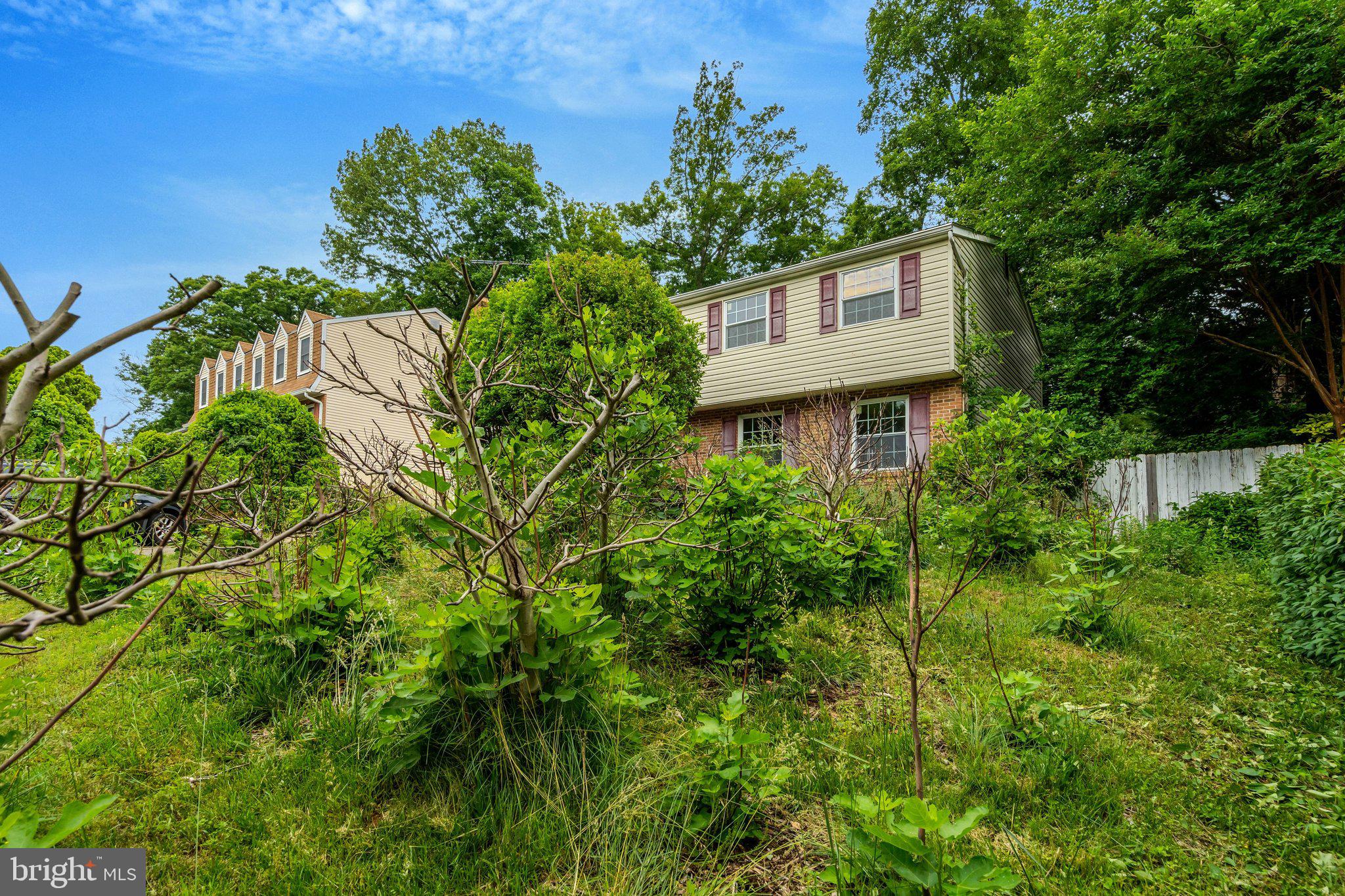 5759 Heming Avenue Springfield, VA 22151 - Photo 3 of 54