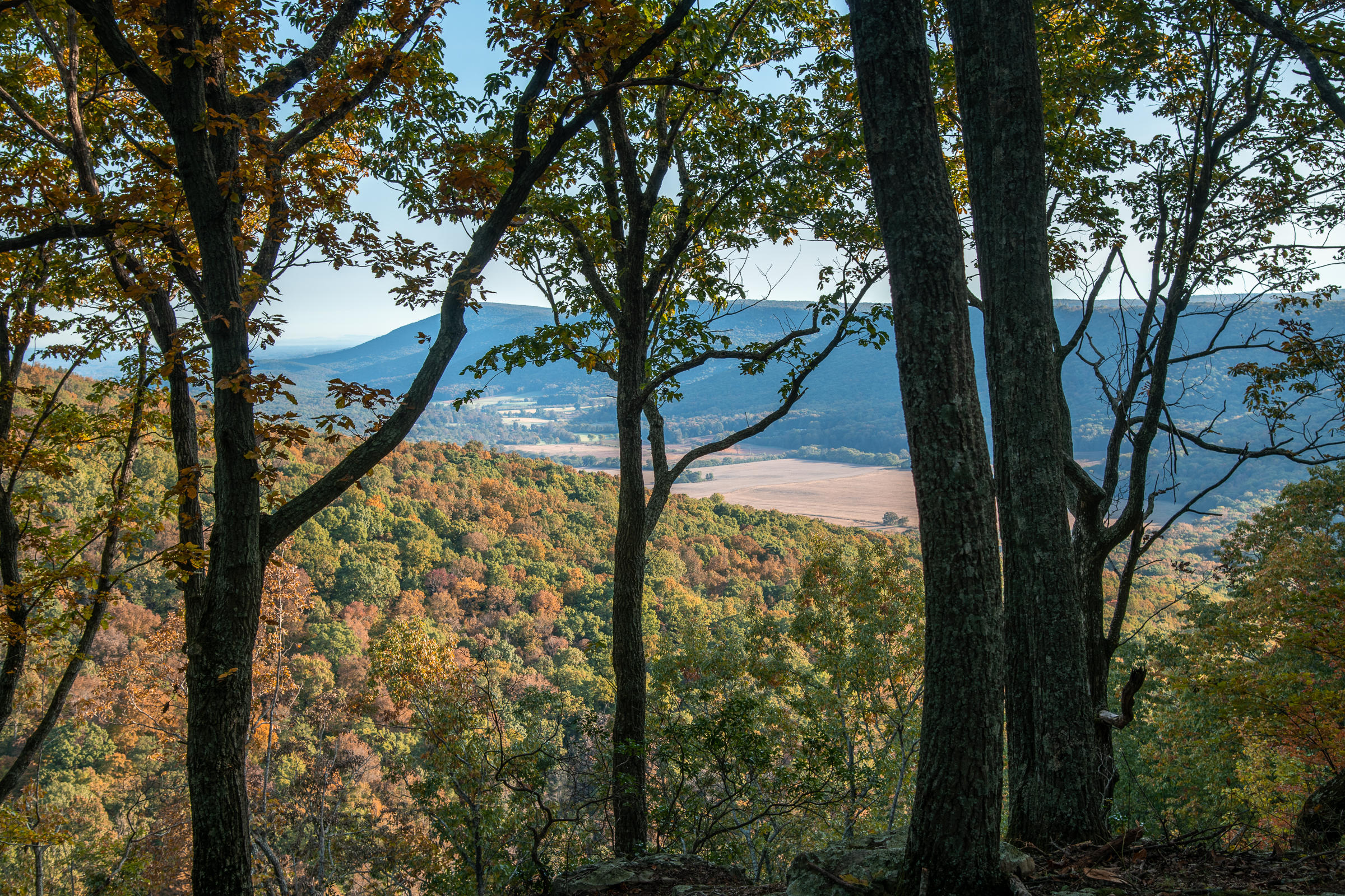 Lot 1 Dougherty Gap Road Chickamauga, GA 30707 - Photo 1 of 17 BluffView-1