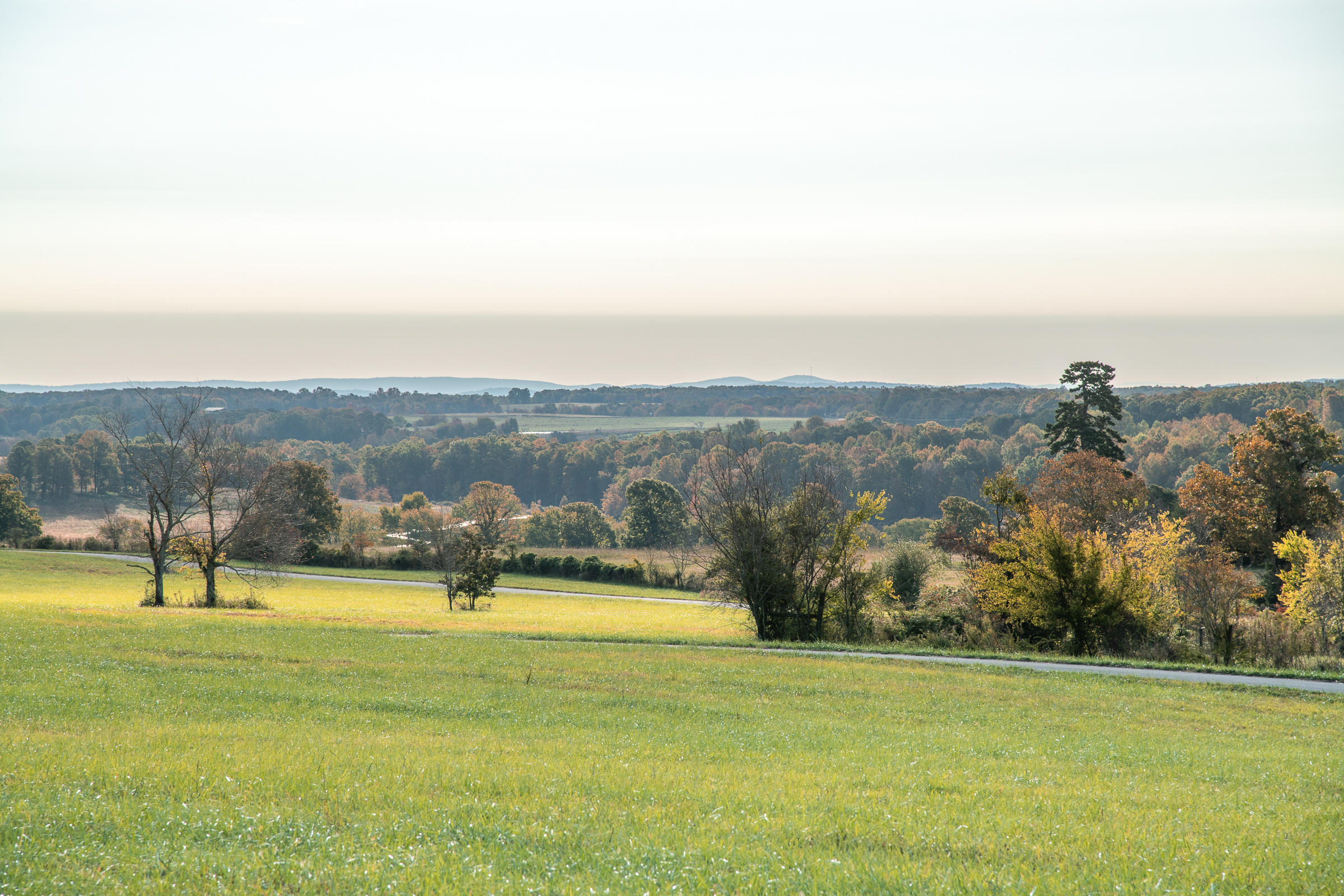 Lot 1 Dougherty Gap Road Chickamauga, GA 30707 - Photo 12 of 17 BluffView-12