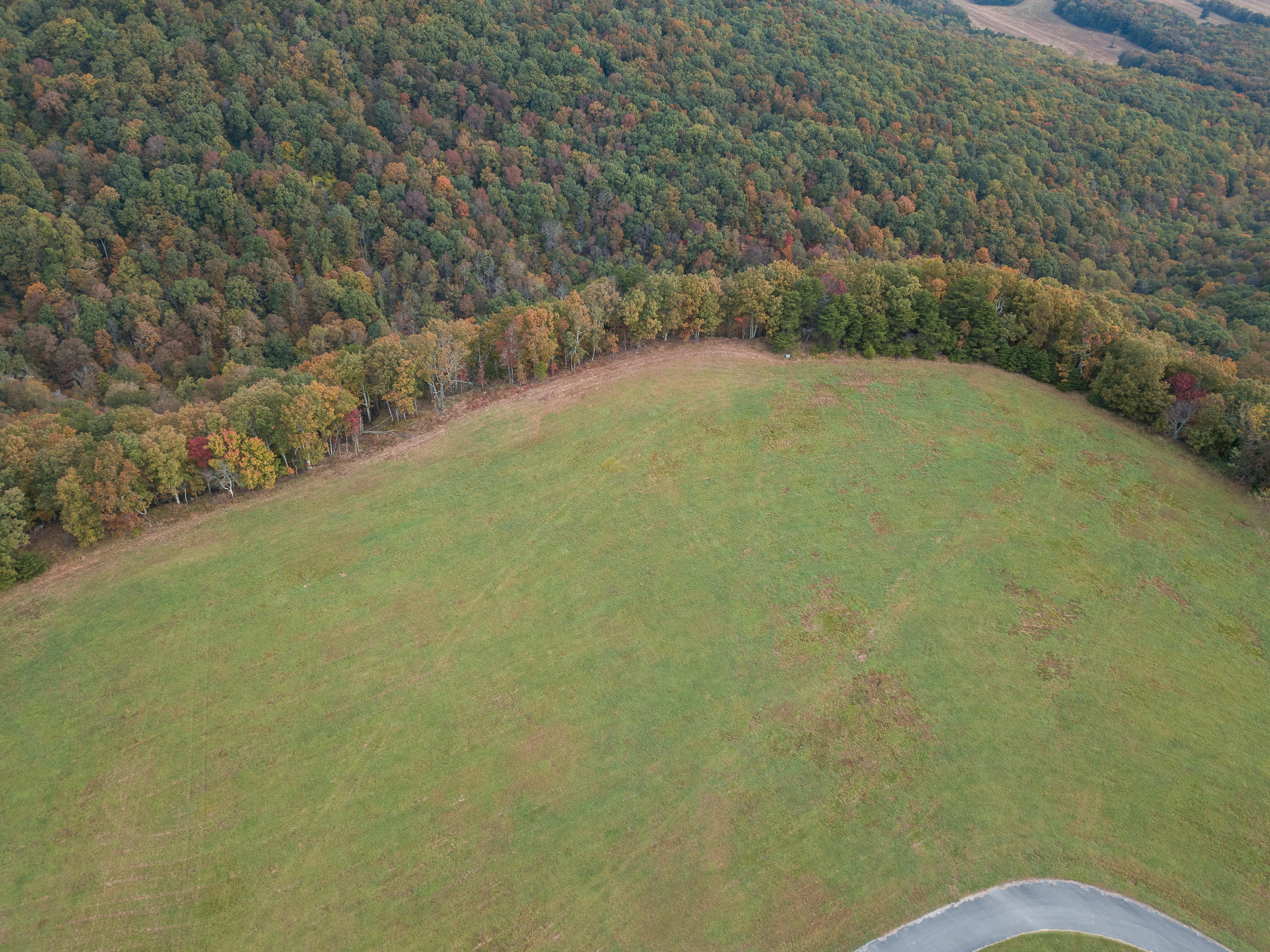 Lot 1 Dougherty Gap Road Chickamauga, GA 30707 - Photo 14 of 17 BluffView-16
