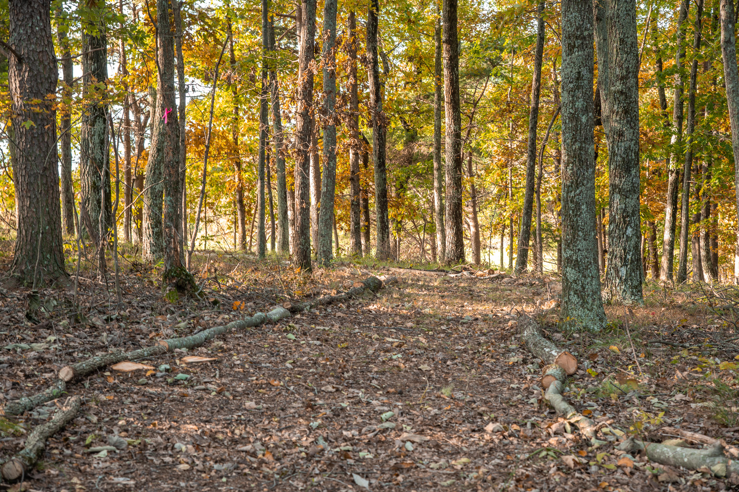 Lot 1 Dougherty Gap Road Chickamauga, GA 30707 - Photo 5 of 17 BluffView-3