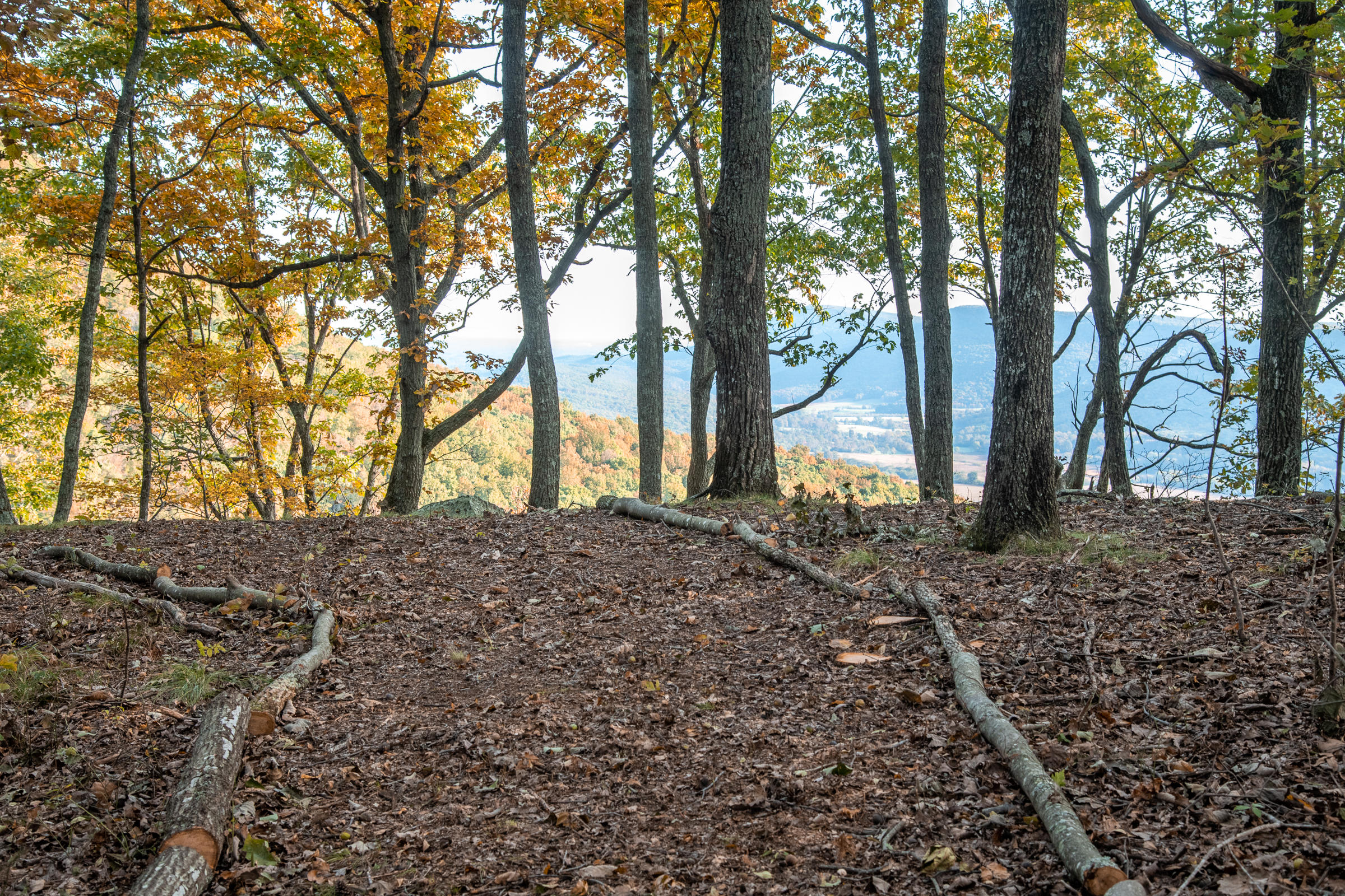 Lot 1 Dougherty Gap Road Chickamauga, GA 30707 - Photo 6 of 17 BluffView-5