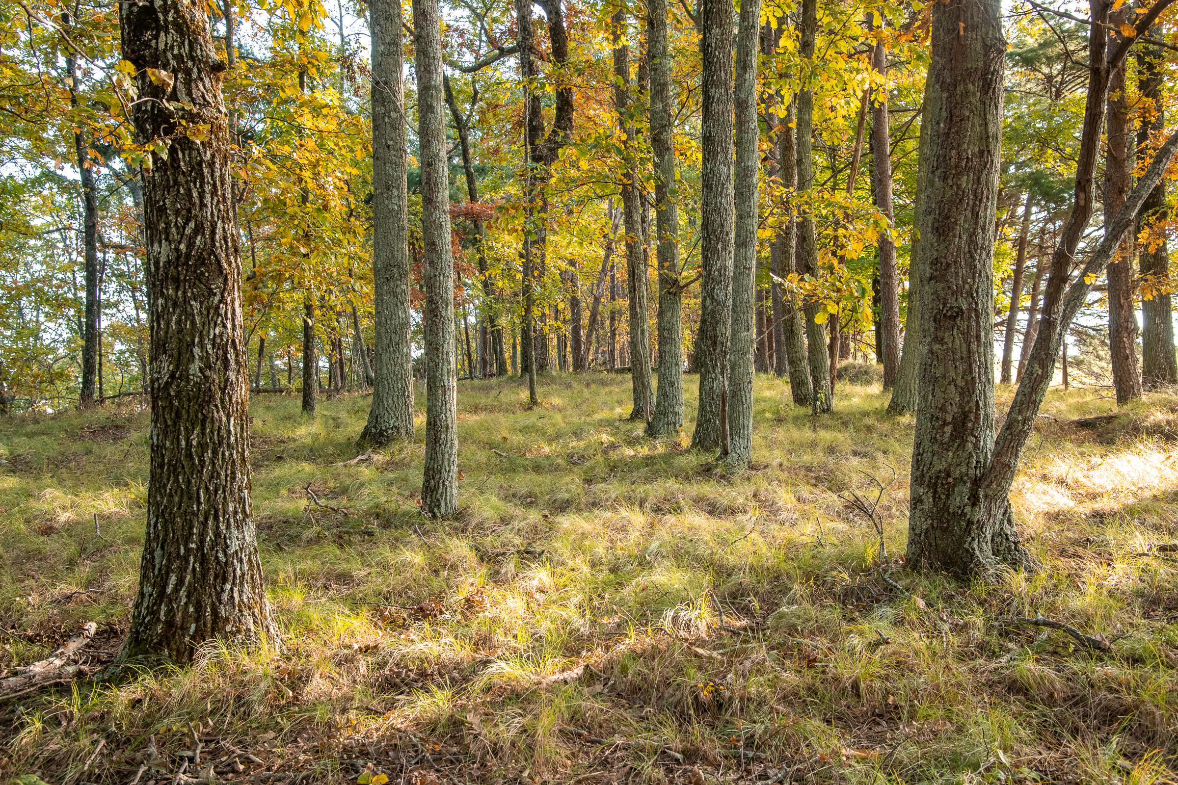 Lot 1 Dougherty Gap Road Chickamauga, GA 30707 - Photo 7 of 17 BluffView-6