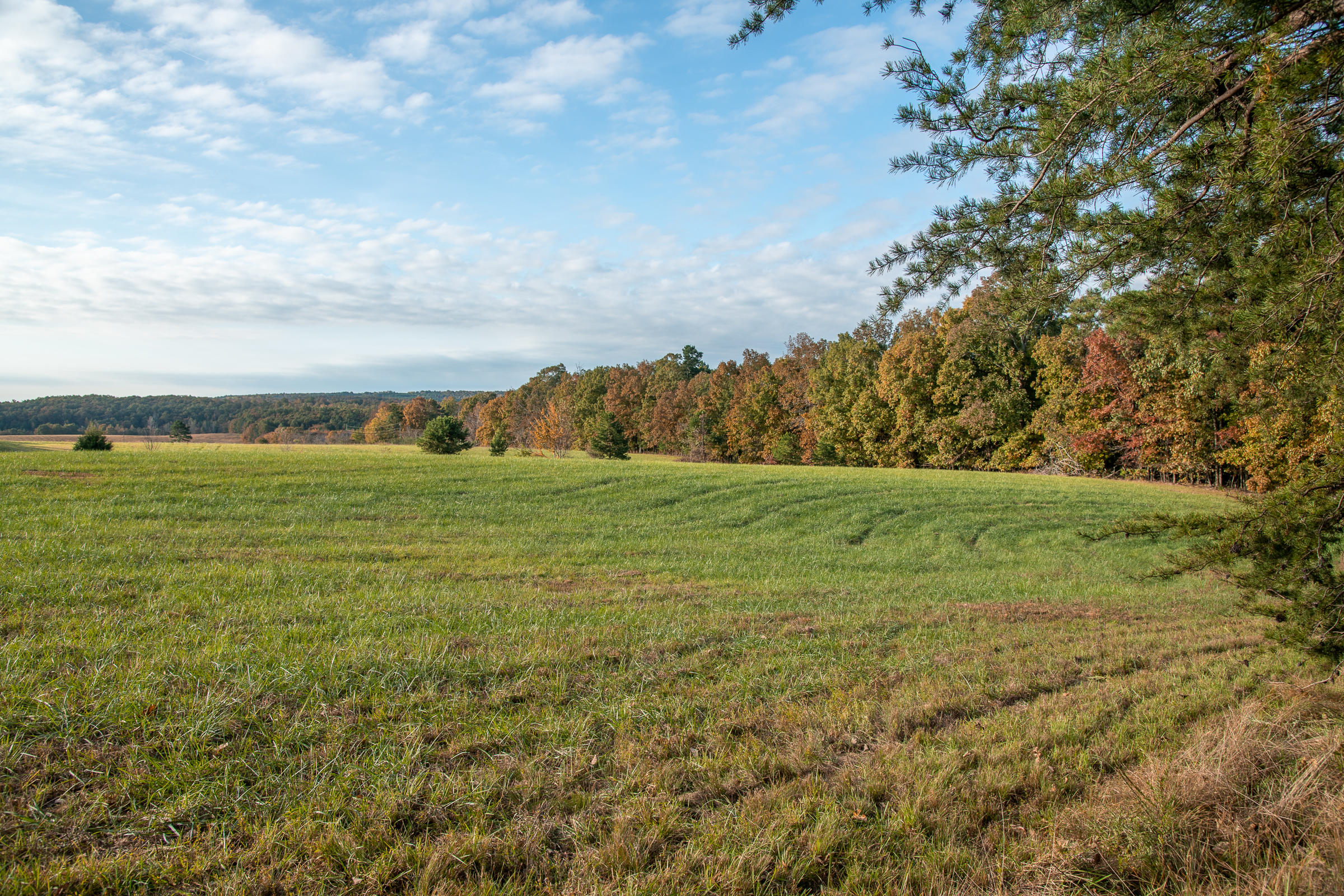 Lot 1 Dougherty Gap Road Chickamauga, GA 30707 - Photo 8 of 17 BluffView-8