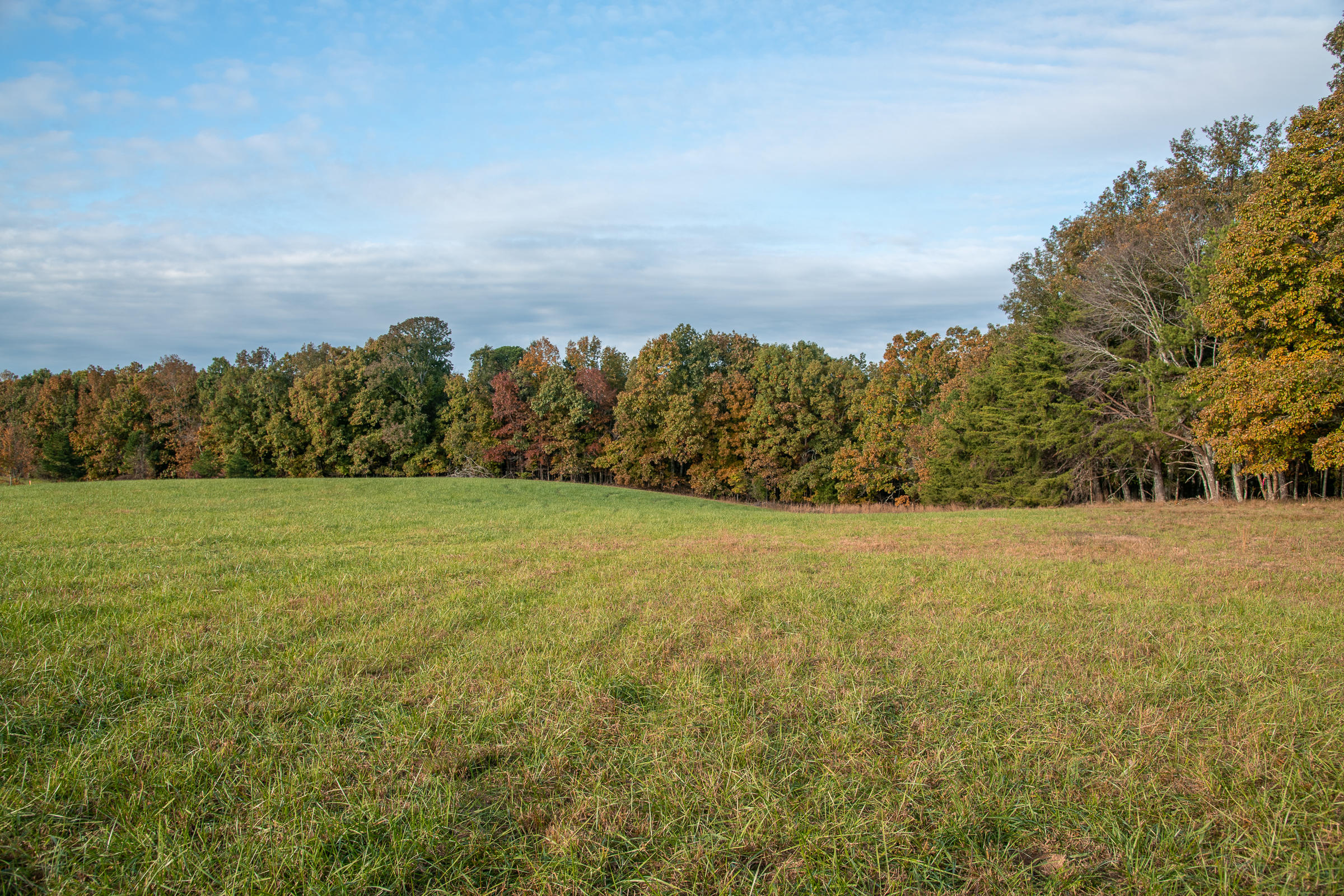 Lot 1 Dougherty Gap Road Chickamauga, GA 30707 - Photo 9 of 17 BluffView-9